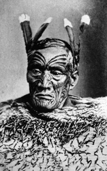 Porträt eines Maori-Mannes, vor 1880